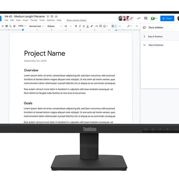 MONITOR LENOVO THINKVISION S22-4E FULL HD PS 21.5 100HZ/ HDMI/ VGA