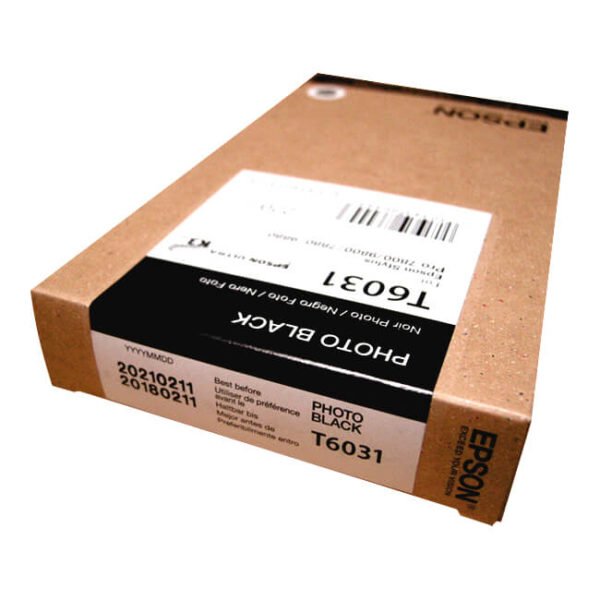 Tinta Epson T603100 original T6031 Photo Black