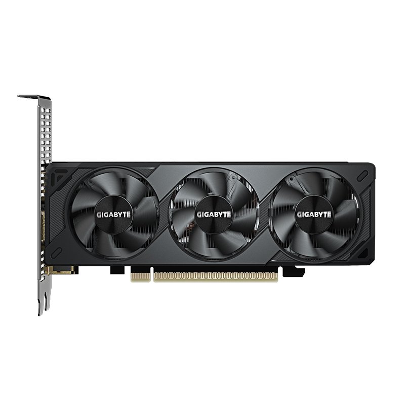 Tarjeta de video GIGABYTE GeForce RTX 5050 OC Low Profile 8G, 8 GB GDDR6, PCIe Gen 5.0